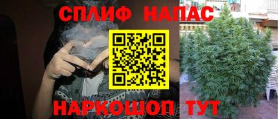 ПСИЛОЦИБИНОВЫЕ ГРИБЫ Малгобек