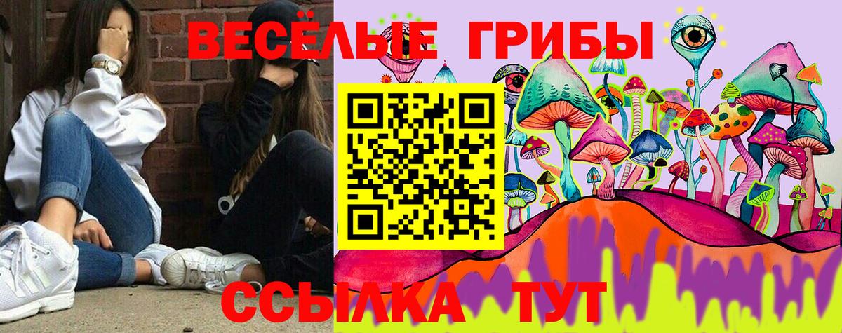 Псилоцибиновые грибы GOLDEN TEACHER Старая Купавна